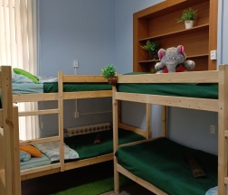 Кровать в женском 6-местном номере в Garden 22/2