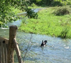 Трёхместный коттедж Economy в Страна Души