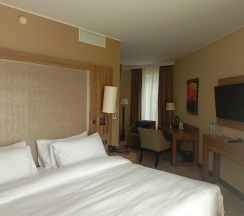 НОМЕР КАТЕГОРИИ DELUXE С БОЛЬШОЙ КРОВАТЬЮ (KING SIZE) в Doubletree by Hilton Tyumen