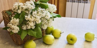 Великий Новгород: Апартаменты ТутУютно на улице Десятинная 10