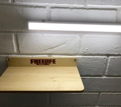 3х местный с окном в Freelife