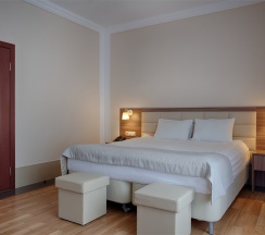 Стандартный номер с 1 двуспальной кроватью в Парк-отель