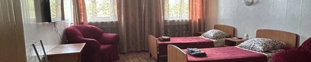 Номер комфорт улучшенный с 2 односпальными кроватями в Арго