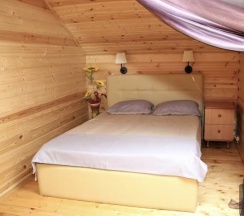 Номер стандарт с 1 двуспальной кроватью в В Кремле