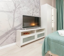 Номер -студио с панорамным балконом в Park in Pulkovo