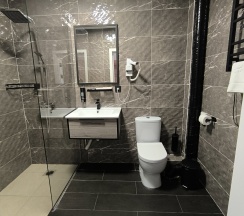 Полулюкс (DBL/SGL) в Никольское