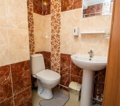 Джуниор сюит №9 в Золотой Лев