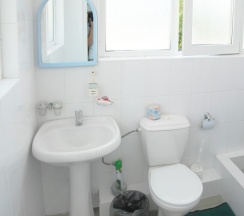 Стандарт улучшенный  2х местный в Green