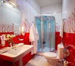 Люкс (LUXE, 304) в Велнесс