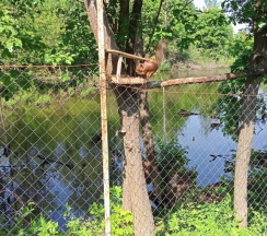 Семейный коттедж с красивым видом из окна в На прудах