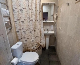 Номер делюкс (мансарда) в Лион