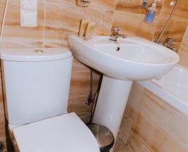 Двухместный номер  (Двухместный номер с 2 отдельными кроватями) в Ника