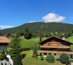 Полулюкс с видом на горы в Gletschertal