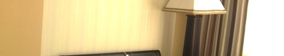 1-местный номер стандарт в Солнечный