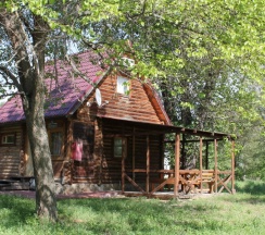 Сруб 16 в Пересвет