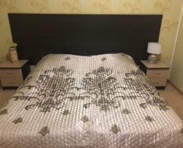 Номер стандарт с 1 двуспальной кроватью в Ника