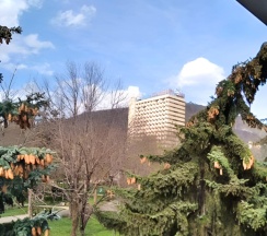 Апартаменты c 1 комнатой в Уютная квартира в курортной зоне