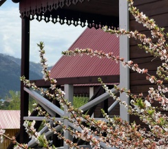 Трехместный домик в Пригорье Аюла