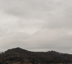 Четырёхместный номер с террасой, вид на горы и сад в Skayfom