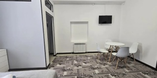 Нижний Новгород: Апартаменты Квартира KiraLive на Канавинской