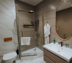 Премиум Люкс в Green hall