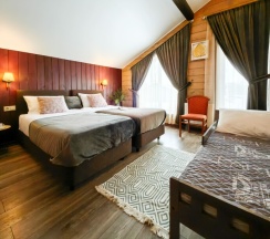 Коттедж《Тиффани делюкс》с сауной и "Банным чаном" (расположен в  Логиново) в Сканди хаус