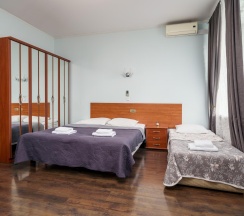 1-комнатные апартаменты улучшенные в Апартаменты на улице Правды 22 Park Lane Inn (Парк Лейн Инн)