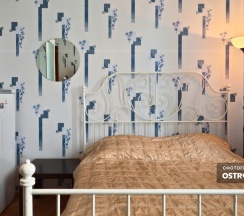 Двухместный номер Comfort двуспальная кровать в Шаманка