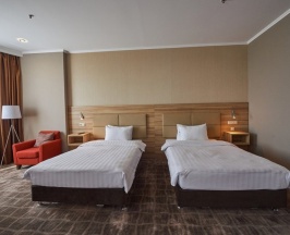 Делюкс Twin в Ramada