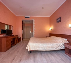 Двухместный номер Standard с балконом (двуспальная кровать) в Holiday