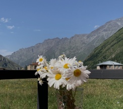 Апартаменты c 1 комнатой с балконом в Шале Gold cottages Kazbegi