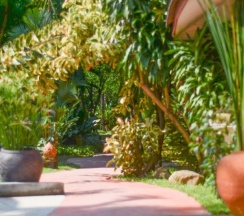 Двухместный номер Standard двуспальная кровать в Samui Sense Beach Resort