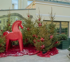 Стандартный номер на мансарде в Гимназия №5