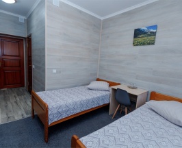 Стандарт TWIN 2/0 в Вояж