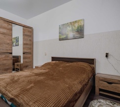 Номер стандарт с 1 двуспальной кроватью в Новая Линза