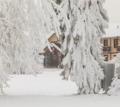 Номер «Люкс» в Игора