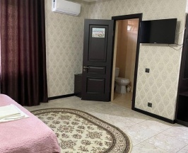Номер стандарт с 1 двуспальной кроватью в Жемчужина