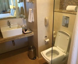 Одноместный номер Deluxe в Evershine Resort & Spa