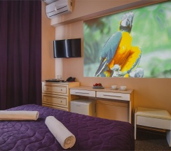 Стандартный двухместный с проекционным  кинотеатром в Ring Road Hotel