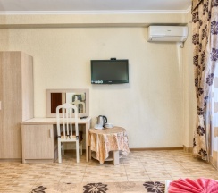 Двухместный номер Standard с балконом 2 отдельные кровати в Аист