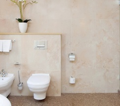 Номер Делюкс (две раздельные кровати) в Pontos Plaza