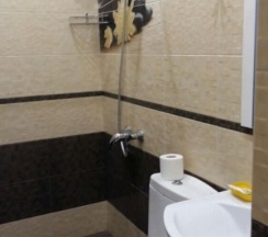 Двухместный номер Standard с балконом двуспальная кровать в Каллисто