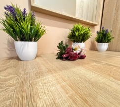 3-местный номер полулюкс в Солнце Тургенева