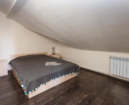 Двухместный номер Economy двуспальная кровать в Ерёмина гора