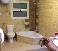 Одноместный номер Standard односпальная кровать в Rose Hotel Cairo