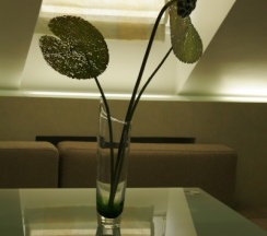 Эконом двухместный в The Volga house