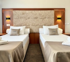 Стандарт с раздельными кроватями в Bridge hotel