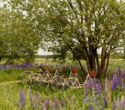 Домик "ПОЛЕ" в Petra eco village
