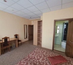 Номер стандарт с 1 двуспальной кроватью в Шатура холл