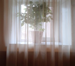 мужской 4 местный в День и Ночь